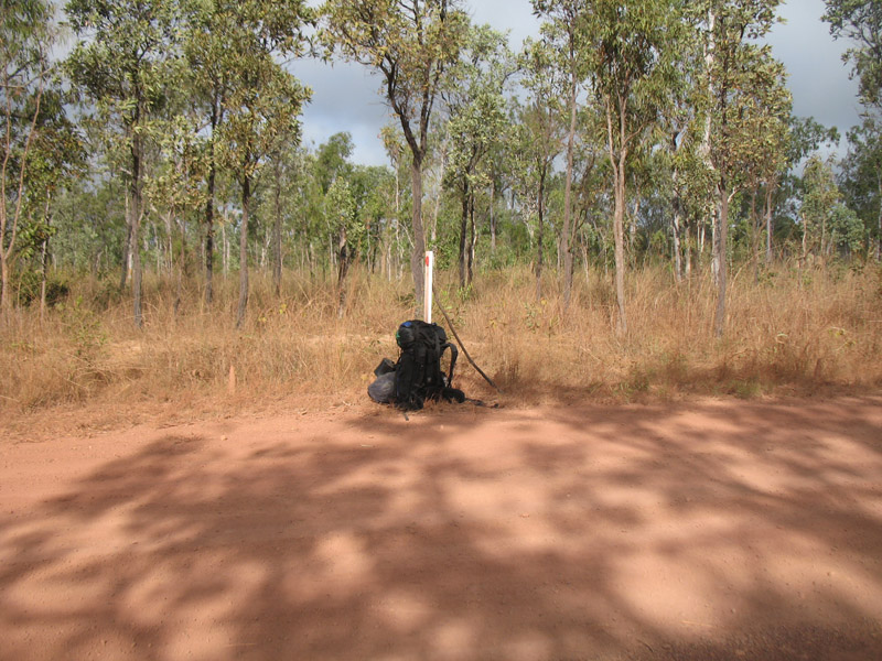 Lakefield National Park - Walkabout